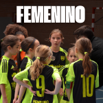 EL CF REINO DE GRANADA LIDERA EL FÚTBOL SALA FEMENINO EN GRANADA